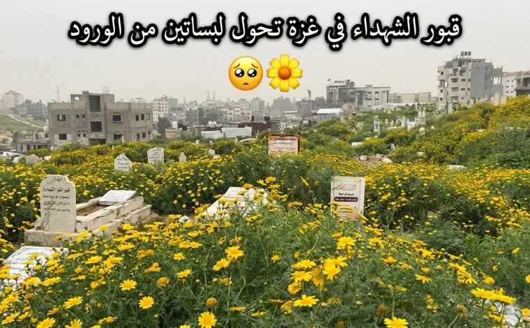 حدائق الخلود فوق ثرى الشهداء