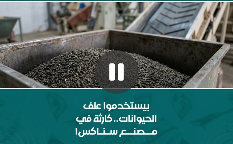 السناكس طلع علف حيوانات